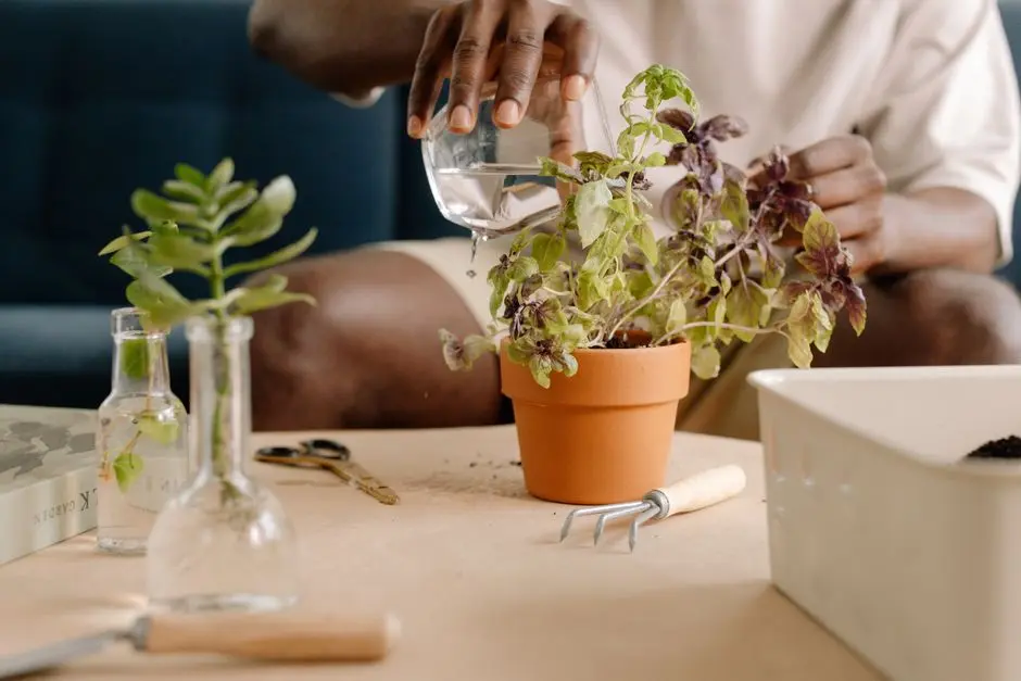 Pot tanaman dari botol bekas